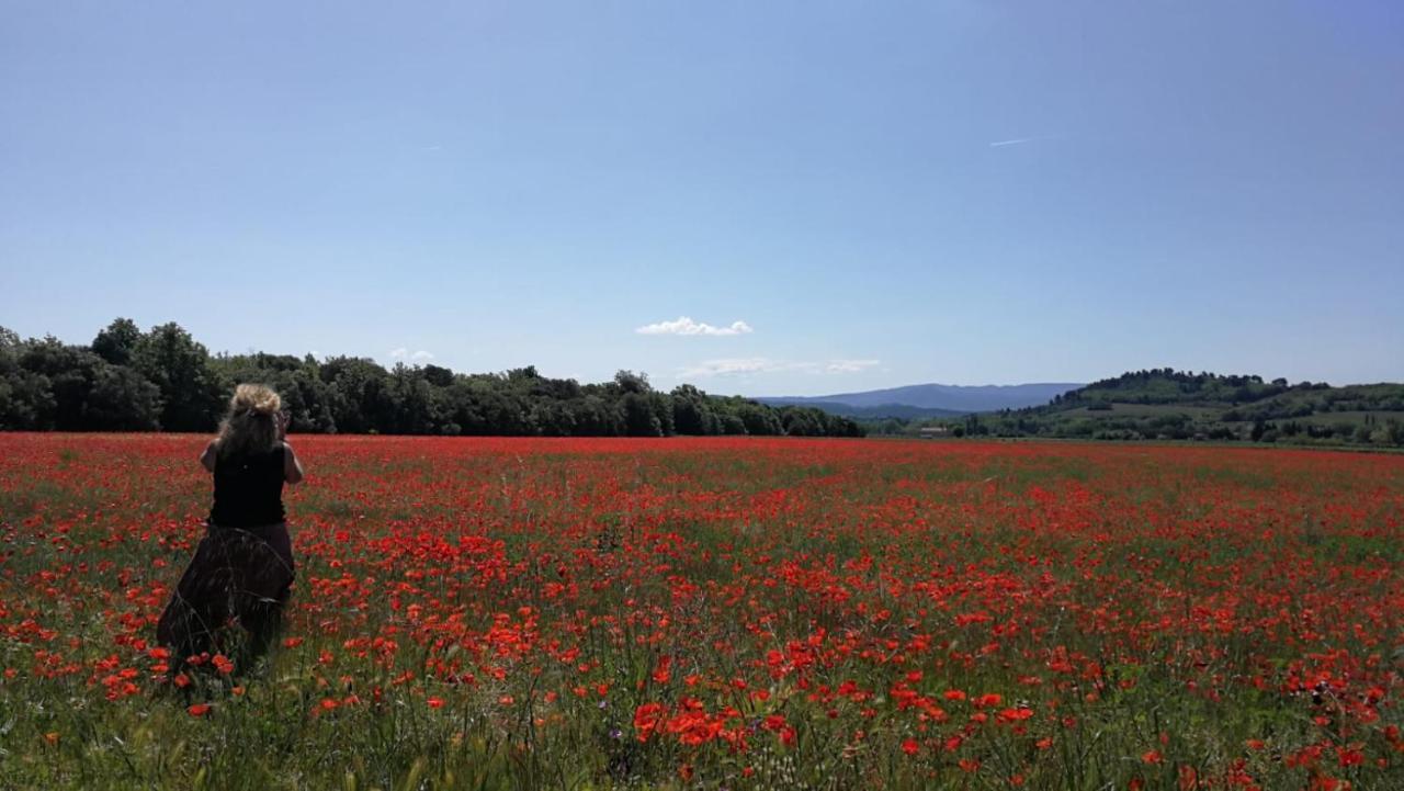 Sous Les Chenes Villa Peypin-d'Aigues Eksteriør billede