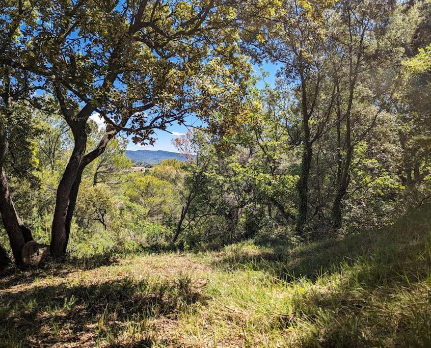 Sous Les Chenes Villa Peypin-d'Aigues Eksteriør billede